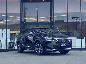 レクサス ＮＸ 300h Fスポーツ SR ACC SDナビ B/Sカメ 赤革 温席 LED