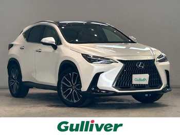 レクサス ＮＸ 250 バージョンL ワンオーナー サンルーフ 純正ナビ LSS