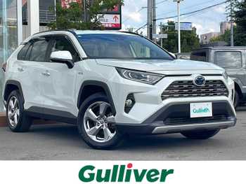 トヨタ ＲＡＶ４ ハイブリッドG 4WD・寒冷地仕様・純正SDナビ