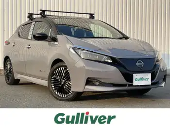 日産 リーフ X Vセレクション 純ナビ プロパイロット 社外ルーフキャリア