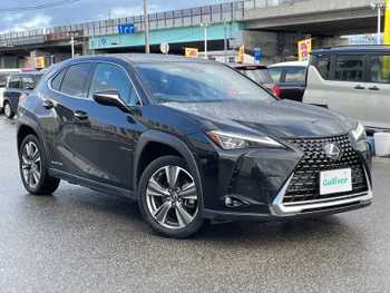 レクサス ＵＸ 300e バージョンC 純正ナビ　TV　Bカメラ　革　マクレビ　LED