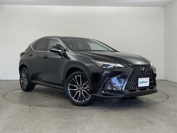 レクサス ＮＸ 250 バージョンL 14型ナビ LEXUSsafety 全方位カメラ 革 ETC