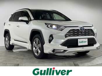 トヨタ ＲＡＶ４ ハイブリッドG 純正オーディオ フルセグ BT クルコン
