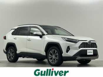 トヨタ ＲＡＶ４ ハイブリッドG ムーンルーフ 黒革 360° 液晶ミラー BSM
