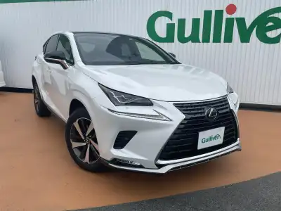 ＮＸ