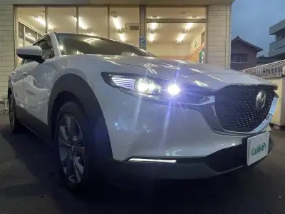 ＣＸ－３０