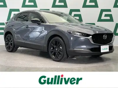 ＣＸ－３０