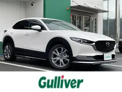 ＣＸ－３０