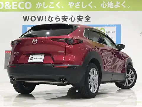 カタログ画像：ＣＸ－３０ （CX-30） ＸＤ Ｌパッケージ 2019年10月 3DA-DM8P 1800cc ソウルレッドクリスタルメタリック 燃費18.4km / l バック