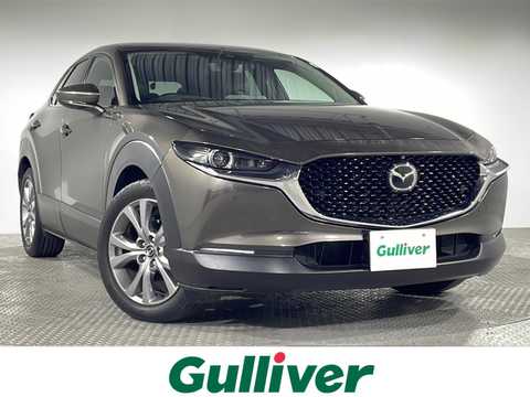 カタログ画像：ＣＸ－３０ （CX-30） ２０Ｓ Ｓパッケージ 2024年7月 5AA-DMEJ3R 2000cc ジルコンサンドメタリック 燃費15.5km / l メイン（その他）