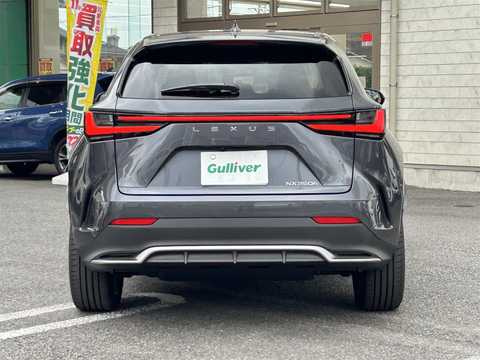 レクサス,ＮＸ,2021年11月