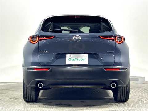 カタログ画像：ＣＸ－３０ （CX-30） ＸＤ レトロスポーツエディション 2024年12月 3DA-DM8R 1800cc ポリメタルグレーメタリック 燃費19.5km / l バック