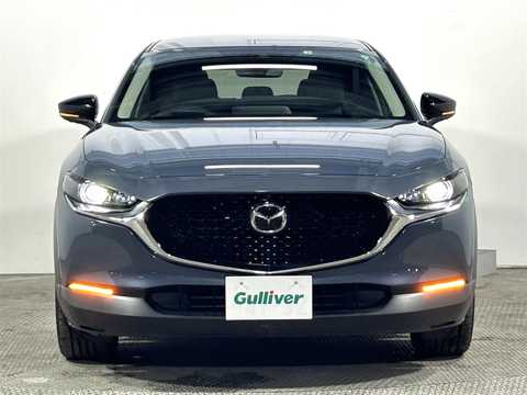 カタログ画像：ＣＸ－３０ （CX-30） ＸＤ レトロスポーツエディション 2024年12月 3DA-DM8R 1800cc ポリメタルグレーメタリック 燃費19.5km / l フロント