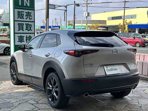 カタログ画像：ＣＸ－３０ （CX-30） ＸＤ ブラックセレクション 2024年12月 3DA-DM8R 1800cc プラチナクォーツメタリック 燃費19.5km / l バック