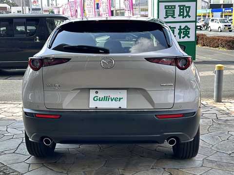 カタログ画像：ＣＸ－３０ （CX-30） ＸＤ ブラックセレクション 2024年12月 3DA-DM8R 1800cc プラチナクォーツメタリック 燃費19.5km / l バック