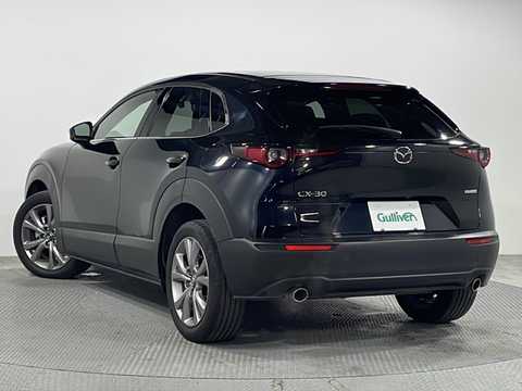 カタログ画像：ＣＸ－３０ （CX-30） ＸＤ ツーリング 2024年7月 3DA-DM8R 1800cc ジェットブラックマイカ 燃費18.7km / l バック
