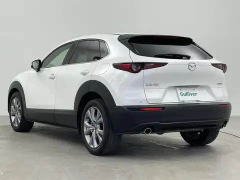 カタログ画像：ＣＸ－３０ （CX-30） ２０Ｓ Ｓパッケージ 2024年7月 5AA-DMEJ3R 2000cc スノーフレイクホワイトパールマイカ 燃費15.5km / l バック