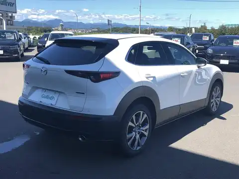 カタログ画像：ＣＸ－３０ （CX-30） Ｘ Ｌパッケージ 2021年4月 5AA-DMFP 2000cc スノーフレイクホワイトパールマイカ 燃費17.6km / l バック