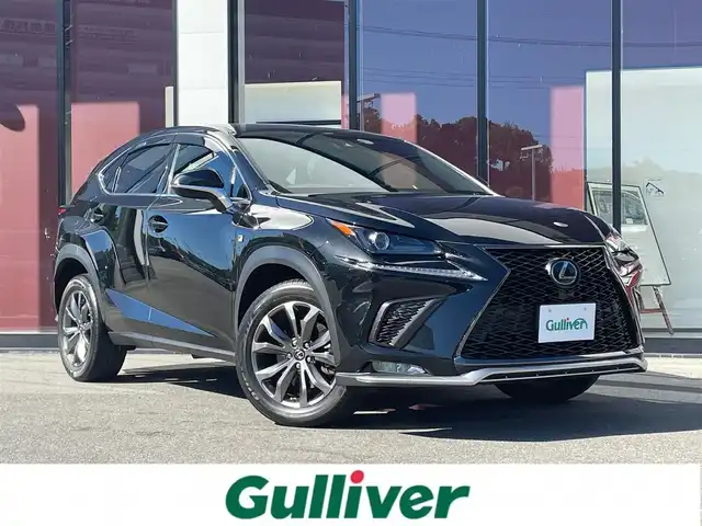 売れ筋 LEXUS NX300 AGZ15 AYZ10 AYZ15 Fスポーツ ラゲッジマット 10系