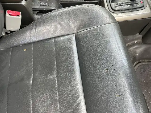 日産 エクストレイル Xt 道央・札幌 2004(平16)年 18.5万km チタニウムシルバー ４WD/寒冷地仕様/社外メモリーナビ/AM/FM/TV/ワイパーデアイサー/前席シートヒーター/レザーシート/革巻きステアリング/リモコンキー/HIDヘッドライト/フォグランプ/ヘッドライトレベライザー/電動格納ミラー/フロアマット/ドアバイザー/社外エンジンスターター