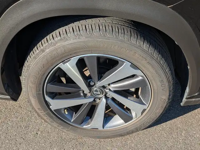 レクサス ＮＸ 300 Iパッケージ 福井県 2018(平30)年 3.9万km グラファイトブラックガラスフレーク 純正10.3インチメモリナビ/フルセグ/BT/CD/DVD/USB/AUX/Miracast/バック・サイドカメラ/衝突被害軽減システム/レーダークルーズコントロール/前後コーナーセンサー/BSM/レーンキープアシスト/横滑り防止装置/盗難防止装置/ビルトインETC2.0/ワイヤレス充電/パワーバックドア/ステアリングヒーター/SOSボタン/前後ドライブレコーダー/TZセーフティレーダー/パワーシート/シートヒーター/シートメモリー/純正フロアマット/パドルシフト/オートホールド/純正18インチAW/LEDヘッドライト/Fフォグ/スマートキー