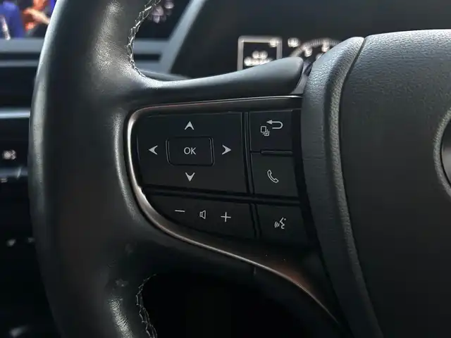 レクサス ＵＸ 富山県 2018(平30)年 3.5万km 黒 セーフティシステム＋/純正メモリナビ/フルセグTV/Bluetooth接続/USB接続/AM/FMラジオ/CD再生/バックカメラ/360°カメラ/D/N席パワーシート/D/N席シートヒーター/アイドリングストップ/プッシュスタート/ACC/ブラインドスポットモニター/LEDヘッドライト