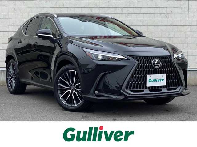 レクサス ＮＸ 250 岐阜県 2025(令7)年 0.5万km グラファイトブラックガラスフレーク パノラマサンルーフ　/ヘッドアップディスプレイ　/ブラインドスポットモニター　/純正ナビ（フルセグTV/Bluetooth/USB）/全方位カメラ　/レクサスセーフティシステムプラス/クリアランスソナー/純正ドライブレコーダー/クルーズコントロール/エアシート・シートヒーター/デュアルオートエアコン/Trail Mode/ダウンヒルアシストコントロールシステム/革巻きステアリング/ステアリングスイッチ/ブラウンレザーシート　/前席パワーシート　/パワーバックドア　/ビルトインETC2.0 /純正20インチアルミホイール/カードキー・スマートキー×２