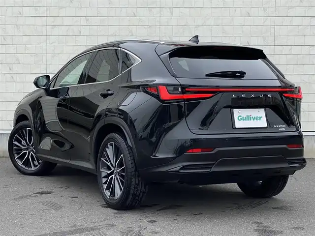 レクサス ＮＸ 250 岐阜県 2025(令7)年 0.5万km グラファイトブラックガラスフレーク パノラマサンルーフ　/ヘッドアップディスプレイ　/ブラインドスポットモニター　/純正ナビ（フルセグTV/Bluetooth/USB）/全方位カメラ　/レクサスセーフティシステムプラス/クリアランスソナー/純正ドライブレコーダー/クルーズコントロール/エアシート・シートヒーター/デュアルオートエアコン/Trail Mode/ダウンヒルアシストコントロールシステム/革巻きステアリング/ステアリングスイッチ/ブラウンレザーシート　/前席パワーシート　/パワーバックドア　/ビルトインETC2.0 /純正20インチアルミホイール/カードキー・スマートキー×２