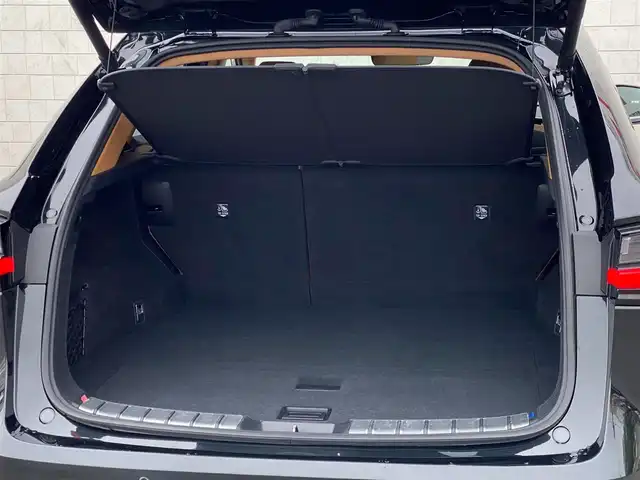 レクサス ＮＸ 250 岐阜県 2025(令7)年 0.5万km グラファイトブラックガラスフレーク パノラマサンルーフ　/ヘッドアップディスプレイ　/ブラインドスポットモニター　/純正ナビ（フルセグTV/Bluetooth/USB）/全方位カメラ　/レクサスセーフティシステムプラス/クリアランスソナー/純正ドライブレコーダー/クルーズコントロール/エアシート・シートヒーター/デュアルオートエアコン/Trail Mode/ダウンヒルアシストコントロールシステム/革巻きステアリング/ステアリングスイッチ/ブラウンレザーシート　/前席パワーシート　/パワーバックドア　/ビルトインETC2.0 /純正20インチアルミホイール/カードキー・スマートキー×２