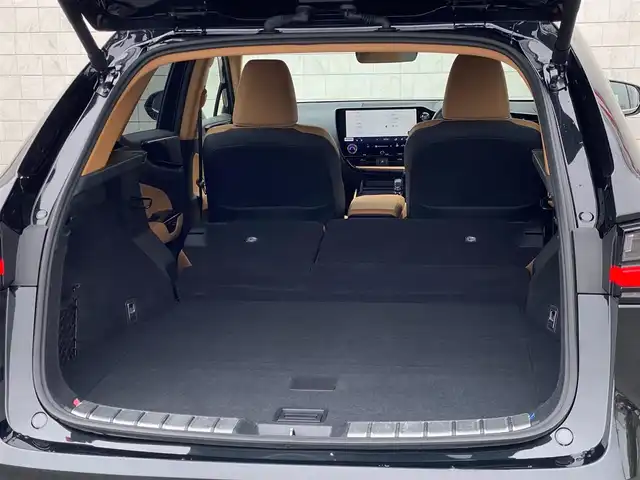 レクサス ＮＸ 250 岐阜県 2025(令7)年 0.5万km グラファイトブラックガラスフレーク パノラマサンルーフ　/ヘッドアップディスプレイ　/ブラインドスポットモニター　/純正ナビ（フルセグTV/Bluetooth/USB）/全方位カメラ　/レクサスセーフティシステムプラス/クリアランスソナー/純正ドライブレコーダー/クルーズコントロール/エアシート・シートヒーター/デュアルオートエアコン/Trail Mode/ダウンヒルアシストコントロールシステム/革巻きステアリング/ステアリングスイッチ/ブラウンレザーシート　/前席パワーシート　/パワーバックドア　/ビルトインETC2.0 /純正20インチアルミホイール/カードキー・スマートキー×２