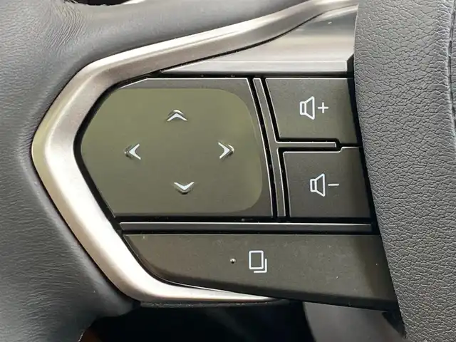 レクサス ＮＸ 250 岐阜県 2025(令7)年 0.5万km グラファイトブラックガラスフレーク パノラマサンルーフ　/ヘッドアップディスプレイ　/ブラインドスポットモニター　/純正ナビ（フルセグTV/Bluetooth/USB）/全方位カメラ　/レクサスセーフティシステムプラス/クリアランスソナー/純正ドライブレコーダー/クルーズコントロール/エアシート・シートヒーター/デュアルオートエアコン/Trail Mode/ダウンヒルアシストコントロールシステム/革巻きステアリング/ステアリングスイッチ/ブラウンレザーシート　/前席パワーシート　/パワーバックドア　/ビルトインETC2.0 /純正20インチアルミホイール/カードキー・スマートキー×２