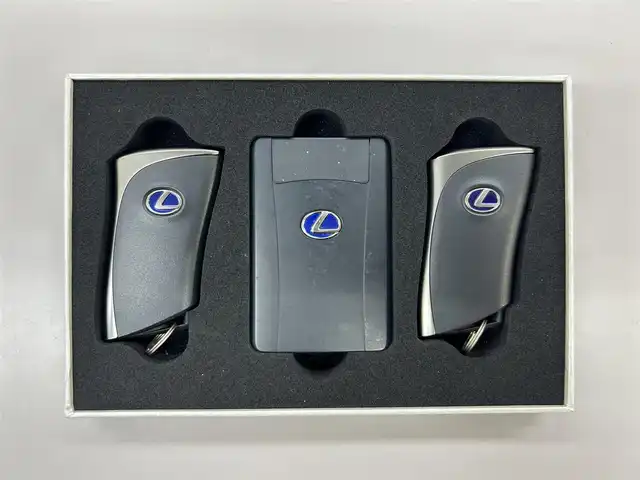 レクサス ＥＳ 300h バージョンL 愛知県 2020(令2)年 4.2万km ソニッククォーツ /ワンオーナー車//R3～R7年度分D記録簿//純正メモリナビ//AM/FM/BT/CD/DVD//SD/USB/フルセグ/AUX//サンルーフ//ビルトインETC2.0//パノラミックビューモニター//ブラインドスポットモニター//ヘッドアップディスプレイ//プリクラッシュセーフティー//レーダークルーズコントロール//ロードトレーシングアシスト//ロードサインアシスト//パーキングサポートアラーム//クリアランスソナー//先行車発進お知らせ//タイヤ空気圧警報システム//三眼LEDヘッドライト//AC100V//電動リアゲート//ブレーキホールド//電動パーキングブレーキ//オートヘッドライト//オートハイビーム//フォグランプ//オートワイパー//電動リアサンシェード//D.N席ベンチレーション//D・N席シートヒーター//D・N席メモリ付きパワーシート//ウッドコンビ革巻きステアリング//ステアリングヒーター//ステアリングスイッチ//電動チルト＆テレスコピックステアリング//パドルシフト//SPORT MODE//NORMAL MODE//ECO MODE//EV MODE//純正フロアマット//ドアバイザー//ISOFIX//保証書//スペアキー（スマートキー・カードキー×１）//前後ドライブレコーダー