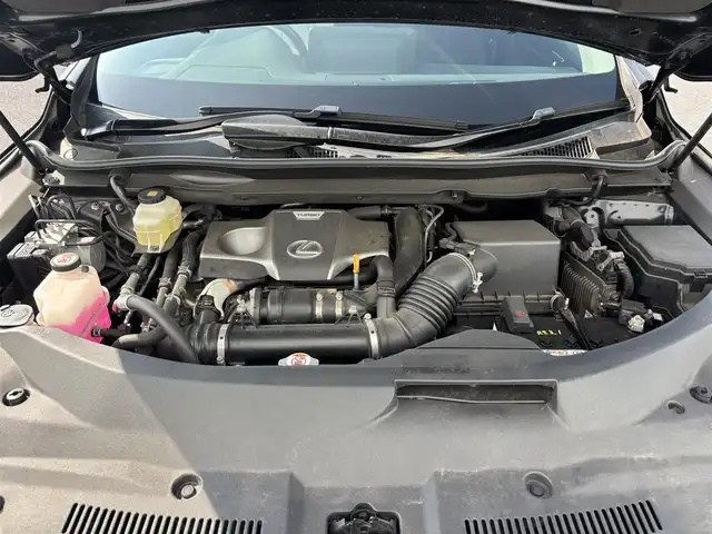 レクサス ＲＸ 300 滋賀県 2020(令2)年 3万km グラファイトブラックガラスフレーク 純正12.3型ナビ/・Bluetooth /フルセグ/・CD/DVD/バックカメラ/ムーンルーフ/革巻きステアリング/ステアリングリモコン/パドルシフト/ETC2.0/レーダークルコン/ハーフレザーシート/前席パワーシート/パワーバックドア/オートハイビーム/LEDフォグライト/AC100V/レクサスセーフティ/・レーントレーシングアシスト/・プリクラッシュセーフティ/・ロードサインアシスト/・先行車発進告知/スマートキー