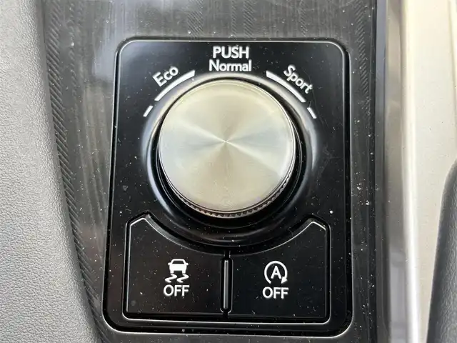 レクサス ＲＸ 300 滋賀県 2020(令2)年 3万km グラファイトブラックガラスフレーク 純正12.3型ナビ/・Bluetooth /フルセグ/・CD/DVD/バックカメラ/ムーンルーフ/革巻きステアリング/ステアリングリモコン/パドルシフト/ETC2.0/レーダークルコン/ハーフレザーシート/前席パワーシート/パワーバックドア/オートハイビーム/LEDフォグライト/AC100V/レクサスセーフティ/・レーントレーシングアシスト/・プリクラッシュセーフティ/・ロードサインアシスト/・先行車発進告知/スマートキー