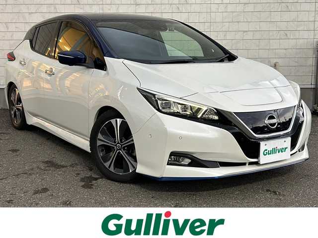 日産 リーフ G 福島県 2019(平31)年 5万km ブリリアントホワイトパール/オーロラフレアブルーパール 2トーン プロパイロット　ＡｐｐｌｅＣａｒｐｌａｙ　ＡｎｄｏｒｏｉｄＡｕｔｏ対応純正ナビ　全周囲Ｃ　オートパーキング　キャンセラー付ＴＶ　ドラレコ　ＥＴＣ　ＴＥＩＮ車庫調　シートヒーター　デジタルインナーミラー　充電ケーブル積込