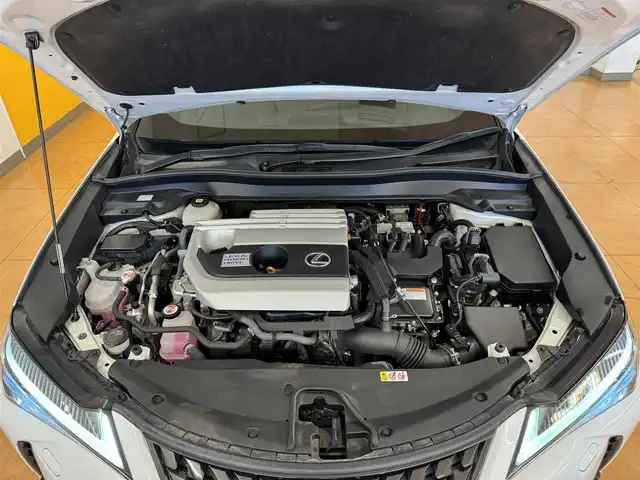 レクサス ＵＸ 250h バージョンL 群馬県 2021(令3)年 6.9万km ソニッククォーツ 純正ナビ/　（AM/FM/CD/DVD/BT）/フルセグTV/全方位カメラ/Lexus Safety System＋/　・プリクラッシュセーフティ/　・レーントレーシングアシスト（LTA）/　・ロードサインアシスト（RSA）/ビルトインETC2.0/レーダークルーズコントロール/D/N席シートヒーター/D/N席シートクーラー/D席メモリーシート/ハンズフリーパワーバックドア/LEDヘッドライト/充電用USB/タイプC/スマートキー