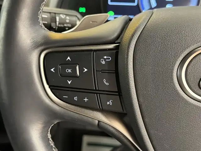 レクサス ＵＸ 250h バージョンL 群馬県 2021(令3)年 6.9万km ソニッククォーツ 純正ナビ/　（AM/FM/CD/DVD/BT）/フルセグTV/全方位カメラ/Lexus Safety System＋/　・プリクラッシュセーフティ/　・レーントレーシングアシスト（LTA）/　・ロードサインアシスト（RSA）/ビルトインETC2.0/レーダークルーズコントロール/D/N席シートヒーター/D/N席シートクーラー/D席メモリーシート/ハンズフリーパワーバックドア/LEDヘッドライト/充電用USB/タイプC/スマートキー