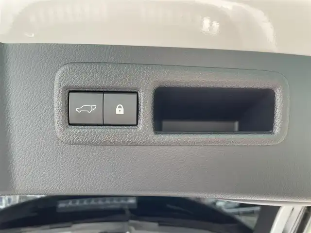 レクサス ＮＸ 300 Fスポーツ 福岡県 2018(平30)年 4.8万km ホワイトノーヴァガラスフレーク レーンキープアシスト/衝突被害軽減システム/パーキングアシスト/全方位ドラレコ/ブラインドスポットモニター/追従クルーズコントロール/純正ナビ/フルセグTV（AM.FM.CD）/Bluetooth/ビルドイン２．０ETC/純正AW/純正フロアマット/電動リアゲート/電動格納サードシート/シートヒーター/エアシート/パワーシート/シートメモリー/ステアリングヒーター/パノラミックビューモニター/USB２コ