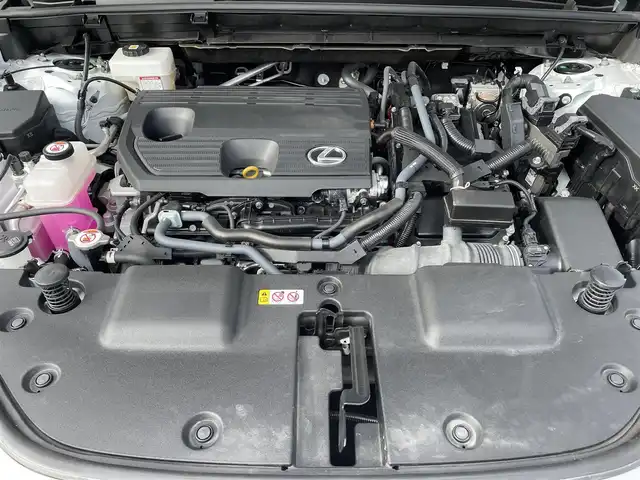 レクサス ＮＸ 350h Fスポーツ 滋賀県 2023(令5)年 1.5万km ホワイトノーヴァガラスフレーク ワンオーナー/純正14インチメーカーナビ/(AM/FM/BT/USB/フルセグTV)/パノラマビューモニター/デジタルインナーミラー/赤黒革シート/パワーバックドア/メモリーシート/パワーシート/シートヒーター/シートベンチレーション/ビルトインETC2.0/前後ドライブレコーダー/Lexus Safety System+/・レーダークルーズコントロール/・レーンディパーチャーアラート/・プリクラッシュセーフティ/・フロント/リヤクロストラフィックアラート/・ブラインドスポットモニター/・クリアランスソナー/・安心降車アシスト/・ロードサインアシスト/・空気圧モニター/革巻きステアリング/ステアリングヒーター/パドルシフト/ステアリングスイッチ/純正20インチアルミホイール/純正三眼LEDヘッドライト/アダプティブフロントライティングシステム/横滑り防止装置/オートライト/オートマチックハイビーム/電動サイドブレーキ/AUTO HOLD機能/電格ウインカーミラー/フロアマット/プッシュスタート