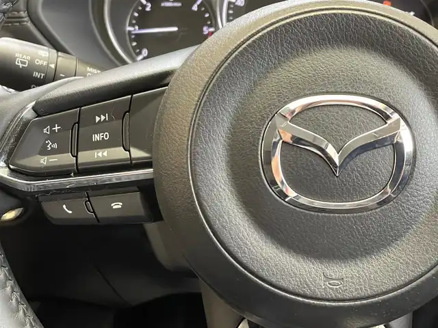 マツダ ＣＸ－５ XD プロアクティブ 岩手県 2017(平29)年 8.2万km ソウルレッドクリスタルM ４WD/ディーゼルターボ/ヘッドアップディスプレイ/i-ACTIVSENSE/スマートブレーキサポート/マツダレーダークルーズコントロール/レーンキープアシスト/ブラインドスポットシステム/パーキングセンサー/アダプティブLEDヘッドライト/横滑り防止装置/アイドリングストップ/MTモード付きAT/純正アンダースカート/オートブレーキホールド/純正ナビ/（CD/DVD/フルセグ/AUX/USB/Bluetooth）/ステアリングスイッチ/バック・サイドカメラ/ドライブレコーダー/LEDヘッドライト/リヤフォグランプ