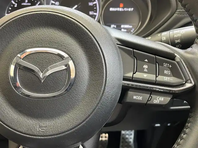 マツダ ＣＸ－５ XD プロアクティブ 岩手県 2017(平29)年 8.2万km ソウルレッドクリスタルM ４WD/ディーゼルターボ/ヘッドアップディスプレイ/i-ACTIVSENSE/スマートブレーキサポート/マツダレーダークルーズコントロール/レーンキープアシスト/ブラインドスポットシステム/パーキングセンサー/アダプティブLEDヘッドライト/横滑り防止装置/アイドリングストップ/MTモード付きAT/純正アンダースカート/オートブレーキホールド/純正ナビ/（CD/DVD/フルセグ/AUX/USB/Bluetooth）/ステアリングスイッチ/バック・サイドカメラ/ドライブレコーダー/LEDヘッドライト/リヤフォグランプ