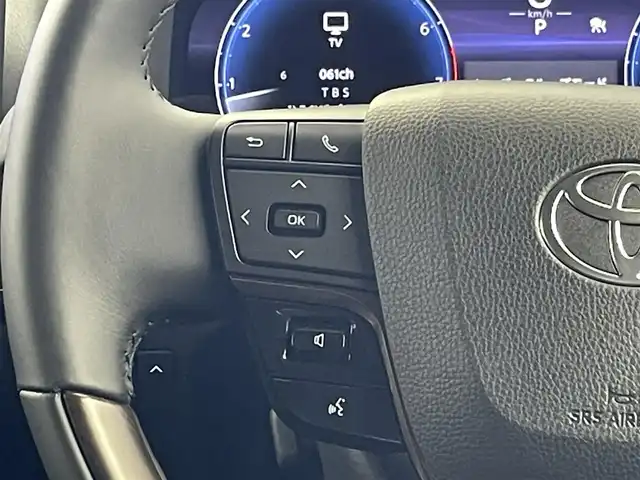 トヨタ アルファード Z 群馬県 2024(令6)年 0.7万km ブラック ４ＷＤ　フリップダウンモニター　純正１４インチディスプレイオーディオ　パノラミックビューモニター　レーダークルーズコントロール　両側パワースライドドア　パワーバックドア　デジタルルームミラー　禁煙車