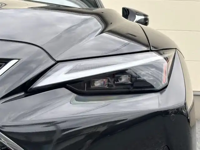 レクサス ＩＳ 300 茨城県 2023(令5)年 0.6万km グラファイトブラックガラスフレーク ワンオーナー/純正メモリナビ(AM/FM/TV/Miracast/BT/CD/DVD)/バックカメラ/追従型クルーズコントロール/ETC2.0/3眼LEDヘッドライト/レザーシート/パワーシート(D/N席)/電動リアゲート/純正アルミホイール/ブラインドスポットモニター/レクサスセーフティシステムプラス/・プリクラッシュセーフティ/・レーントレーシング/・オートマチックハイビーム/・レーダークルーズコントロール/・ロードサインアシスト/・先行車発進告知機能/・ドライバー異常時対応システム/パワーステアリング/オートライト/パドルシフト