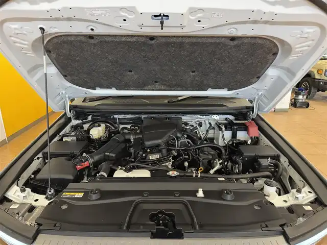 トヨタ ランドクルーザー ２５０ VX 群馬県 2024(令6)年 1万km プラチナホワイトパールマイカ トヨタセーフティセンス/・プリクラッシュセーフティ/・レーンディパーチャーアラート/・ブラインドスポットモニター/・リヤクロストラフィックアラート/・リヤカメラディテクション/・プロアクティブドライビングアシスト/・クリアランスソナー/・ロードサインアシスト/・レーダークルーズコントロール/・オートマチックハイビーム/純正12.3インチディスプレイオーディオ（ナビ機能付き）/　　フルセグTV/　　FM/AM/BT/USB/AppleCarPlay/AndroidAuto/パノラミックビューモニター/サンルーフ/パワーバックドア/LEDオートライト/黒レザーシート/パワーシート/シートヒーター/エアシート/デュアルオートエアコン/純正18インチAW/ルーフレール/デジタルインナーミラー/革巻きステアリング/ステアリングスイッチ/ステアリングヒーター/フォグランプ/ヘッドライトウォッシャー/電動パーキングブレーキ/オートホールド/MTモード付AT/トランスファーレバー/オートワイパー/横滑り防止機能/前後ドライブレコーダー/スマートキー/ビルトインETC2.0