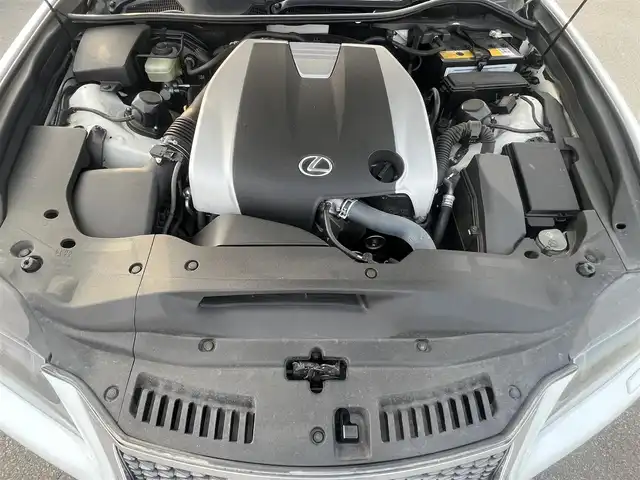 レクサス ＧＳ 350 Fスポーツ 秋田県 2014(平26)年 5.6万km ホワイトノーヴァガラスフレーク ワンオーナー/４WD/革巻きステアリング/ステアリングスイッチ/パドルシフト/レーダークルーズコントロール/オートライト、オートハイビーム/前後コーナーセンサー/横滑り防止/ハンドルヒーター/純正ドアバイザー/純正フロアマット/ビルトインETC/前後ドライブレコーダー/前席パワーシート/レザーシート/純正HDDナビ（FM／AM／BT／フルセグ）/カーテンエアバック/純正ホイール・夏タイヤ積込
