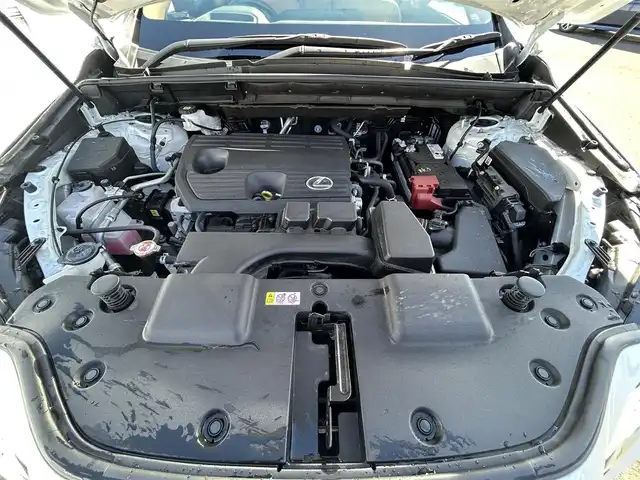 レクサス ＮＸ 250 バージョンL 岩手県 2023(令5)年 3.5万km ソニッククォーツ パノラマルーフ　１４型ナビ　全周囲Ｃ　ＤＶＤ再生　フルセグ　ヘッドアップディスプレイ　ＢＳＭ　メモリ付電動茶本革シート　エアシートヒーター　電動リアゲート　前後ドラレコ　ＧＰＳレーダー　パドルシフト