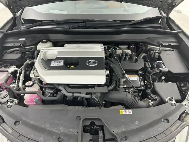 レクサス ＵＸ 250h ブラウンエディション 岡山県 2020(令2)年 3.1万km ソニックチタニウム メーカーナビ/・FM/AM/Bluetooth/フルセグ/CD/DVD/全方位カメラ/ブラウンシート/・パワーシート/・シートヒーター/・シートメモリー/ステアリングヒーター/パワーバックドア/ETC2.0/ドライブレコーダー/Lexus Safety System+/・プリクラッシュセーフティ/・レーントレーシングアシスト/・オートマチックハイビーム/・レーダークルーズコントロール/・コーナーセンサー/BSM/純正18インチアルミ/純正フロアマット/オートブレーキホールド/新車保証書/取扱説明書/スペアキー×１/カードキー×１