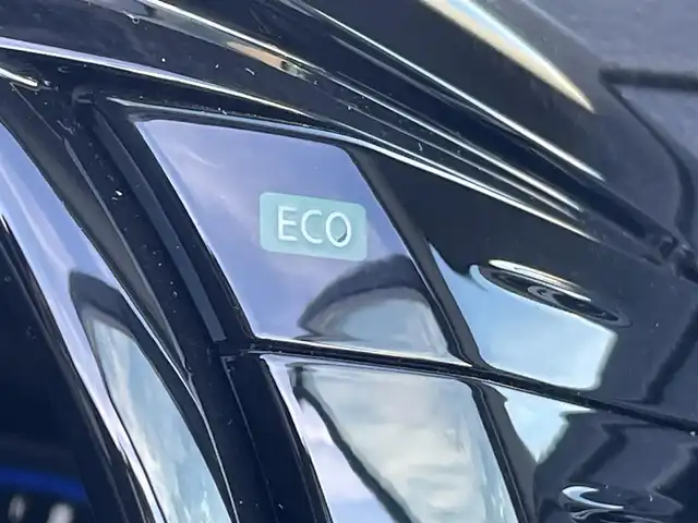 日産 エルグランド 250ハイウェイスターS 東京都 2023(令5)年 4.3万km 黒 4WD/純正ナビ/バックカメラ/Bluetooth/両側パワースライドドア/LEDヘッドライト/ETC/衝突被害軽減ブレーキ/レーンキープアシスト/クルーズコントロール/前後コーナーセンサー/オートライト/ハーフレザーシート/スマートキー