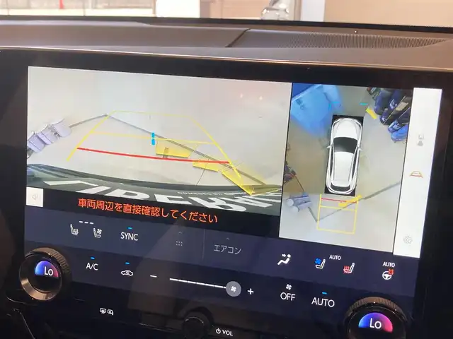 レクサス ＮＸ 250 バージョンL 熊本県 2023(令5)年 0.9万km 黒 純正ナビ（Bluetooth、地デジ）/360°カメラ/サンルーフ/パワーシート/シートヒーター/パワーバックドア/純正20インチアルミホイール/コーナーセンサー/LEDヘッドライト/