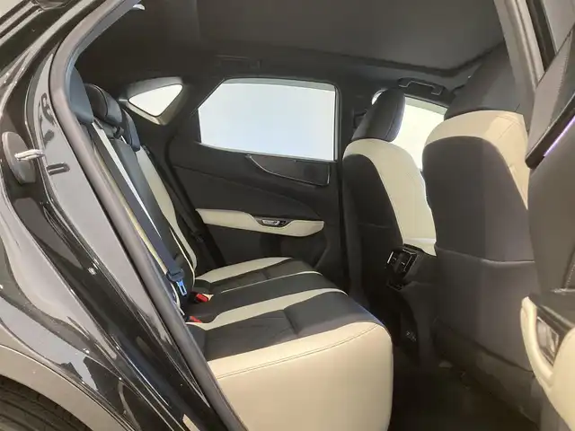 レクサス ＮＸ 250 バージョンL 熊本県 2023(令5)年 0.9万km 黒 純正ナビ（Bluetooth、地デジ）/360°カメラ/サンルーフ/パワーシート/シートヒーター/パワーバックドア/純正20インチアルミホイール/コーナーセンサー/LEDヘッドライト/
